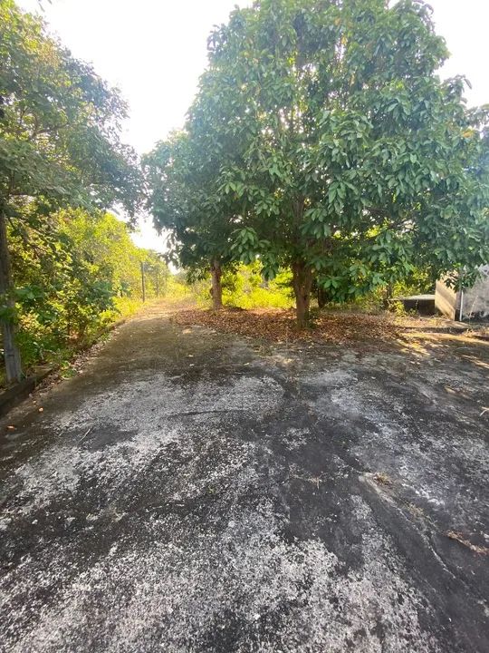 Alugo Área de 20 mil metros quadrados  - Foto 14