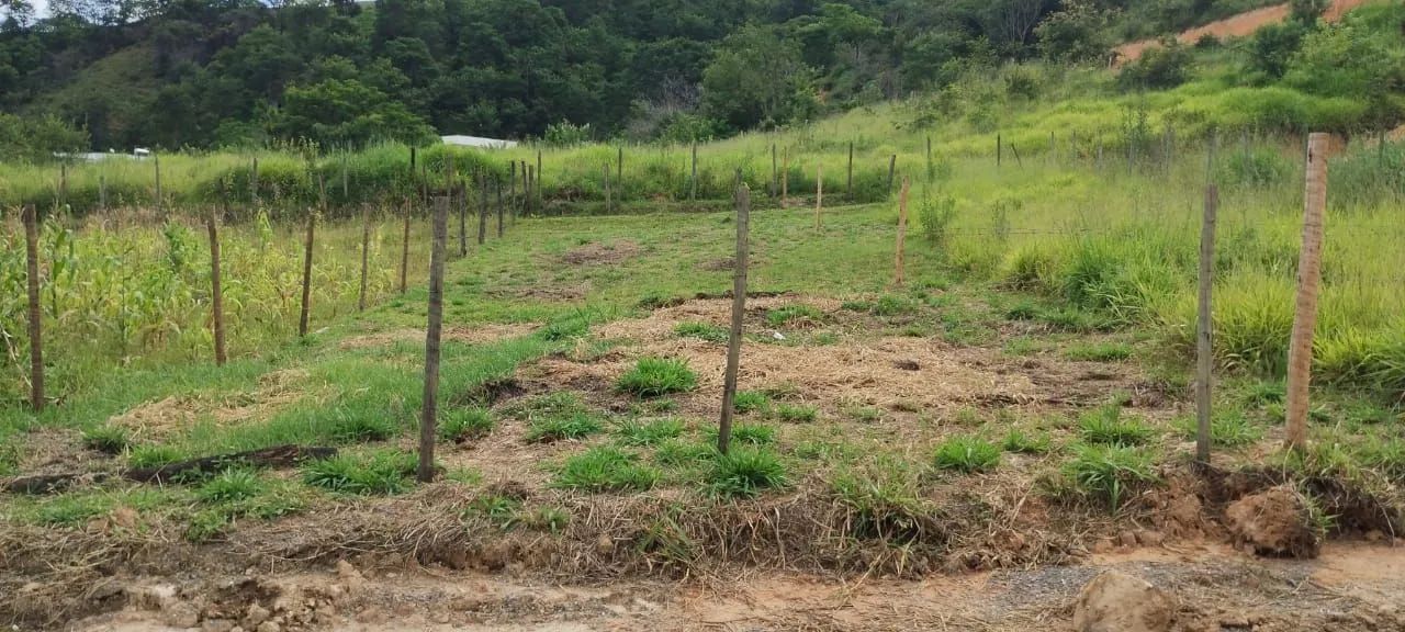 Lote em são José da Lapa bairro maravilha 