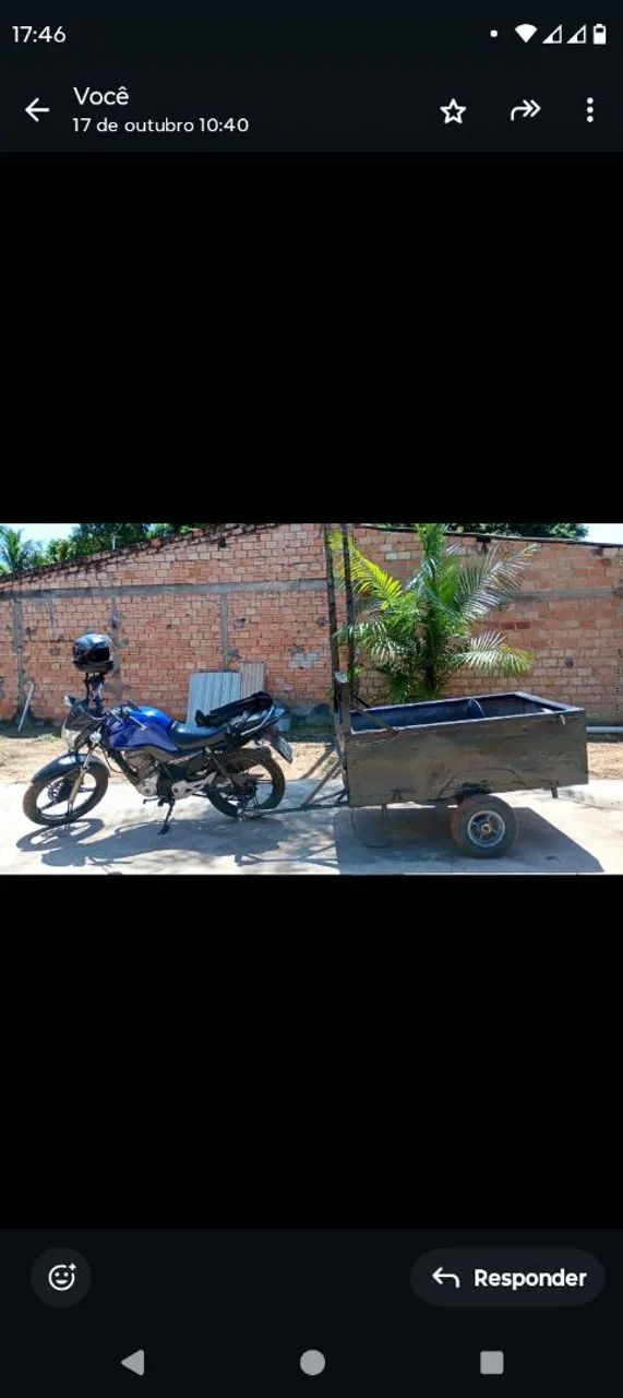 CARROCINHA REFORÇADA  - Foto 2