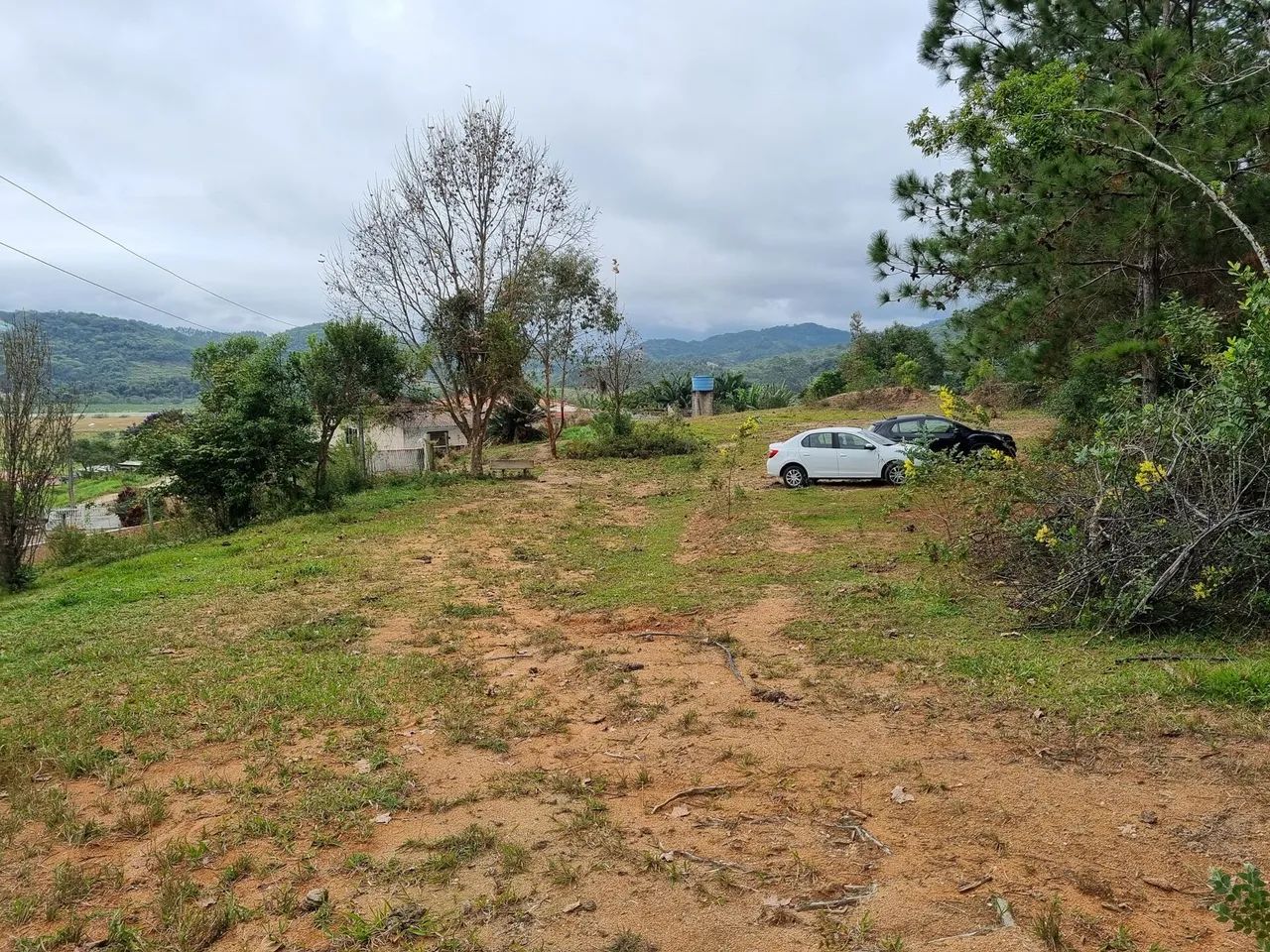 Sítio com 11 hectares I Estiva I Biguaçu - Foto 2