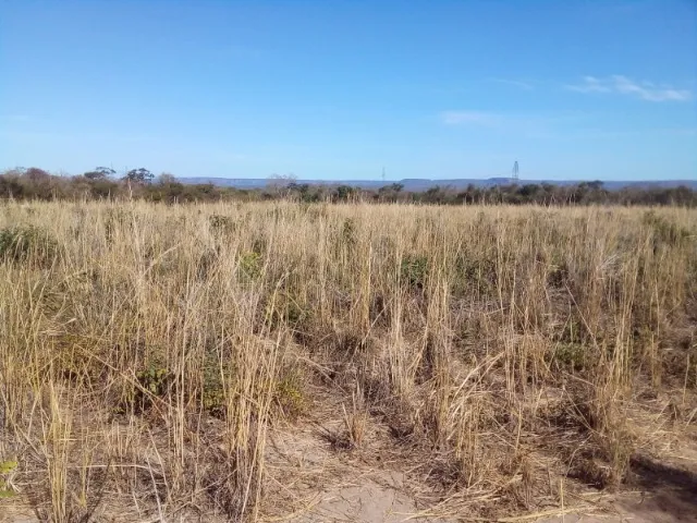 Oportunidade: Chácara com 30.000,00 m² (3 hectares) próx. a Bom Jesus - PI
