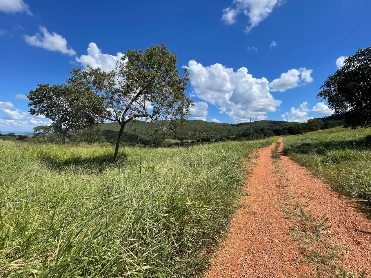 Ótima Fazenda disponível (pecuária) - Foto 2