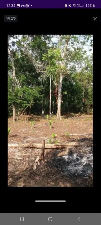 Terreno no Caribe brasileiro Alter-do-Chão - Foto 3