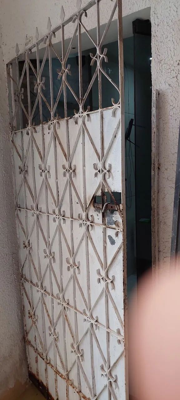 Portão de Ferro com Grade de Segurança