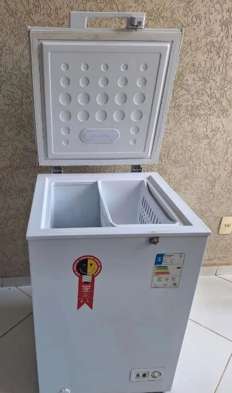 Freezer EOS 110l
