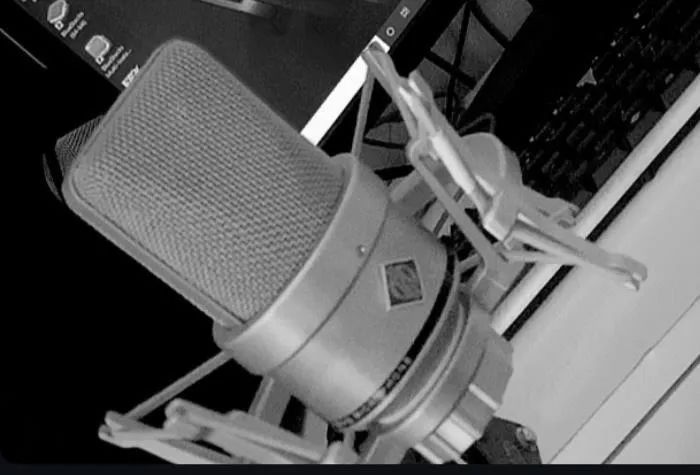 Microfone Condensador de Estúdio Neumann - Qualidade Profissional