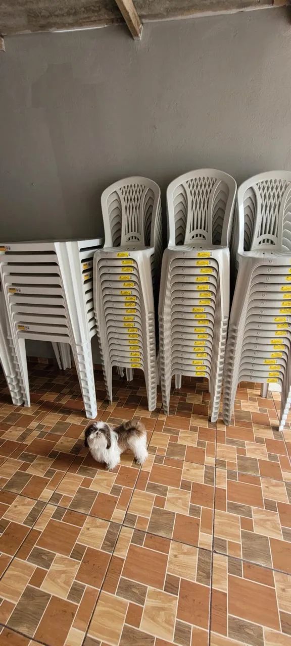 Aluguel de mesas - Foto 2