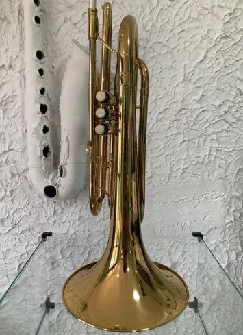 Trombonito BM  - Foto 2