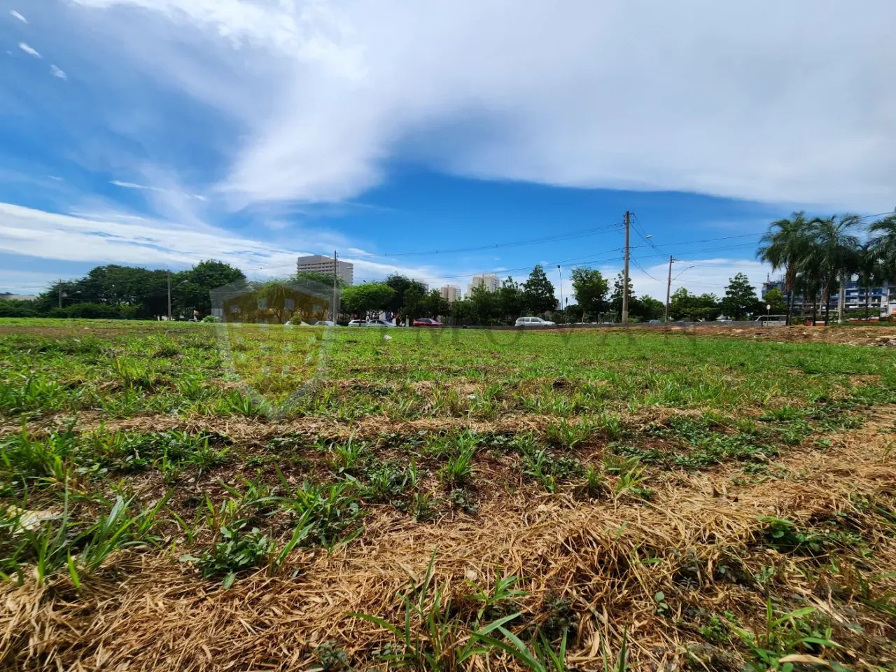 Lote Residencial 2.872,73 m² - Foto 2