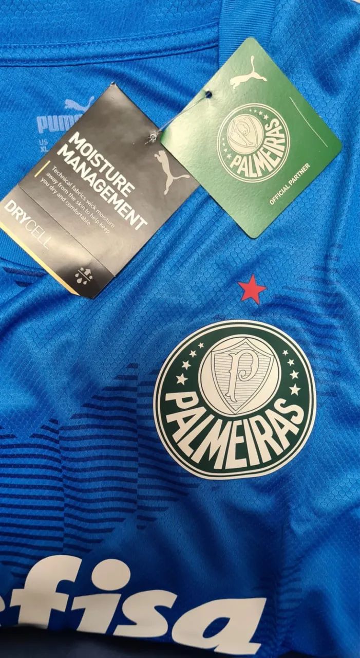 Palmeiras 64299344636291123