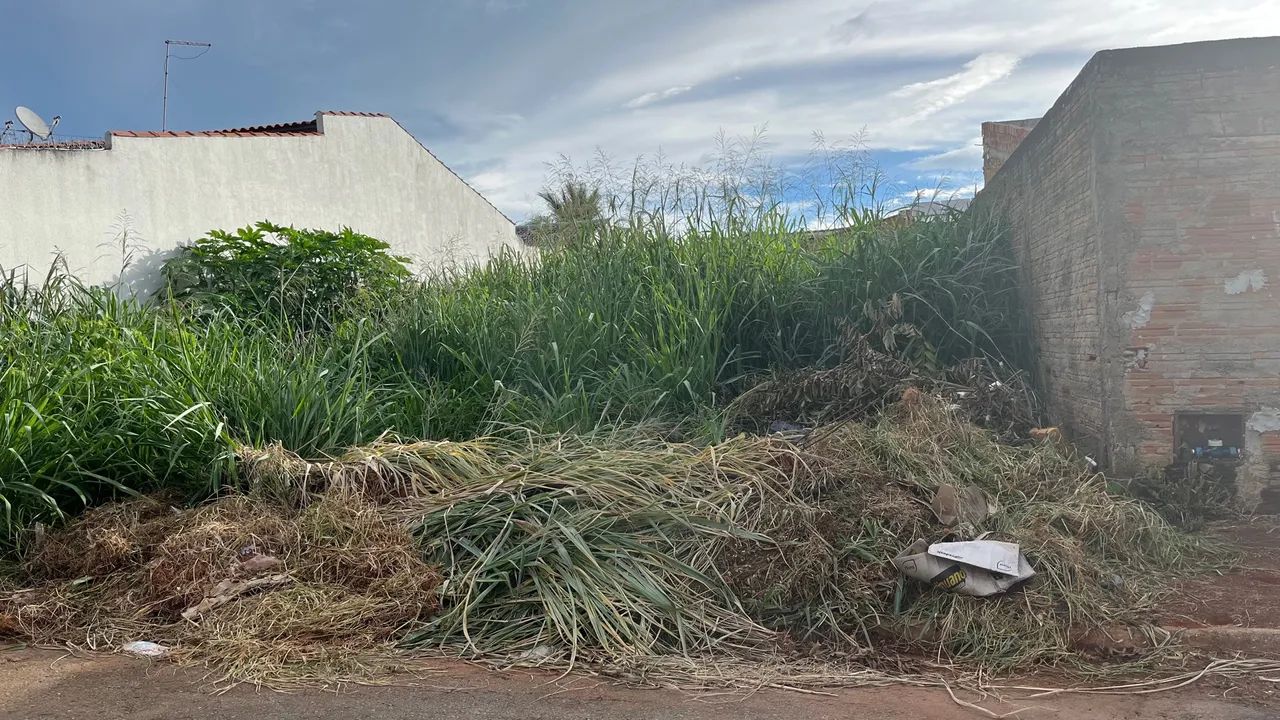 Foto - Goiânia - Parque Industrial Paulista