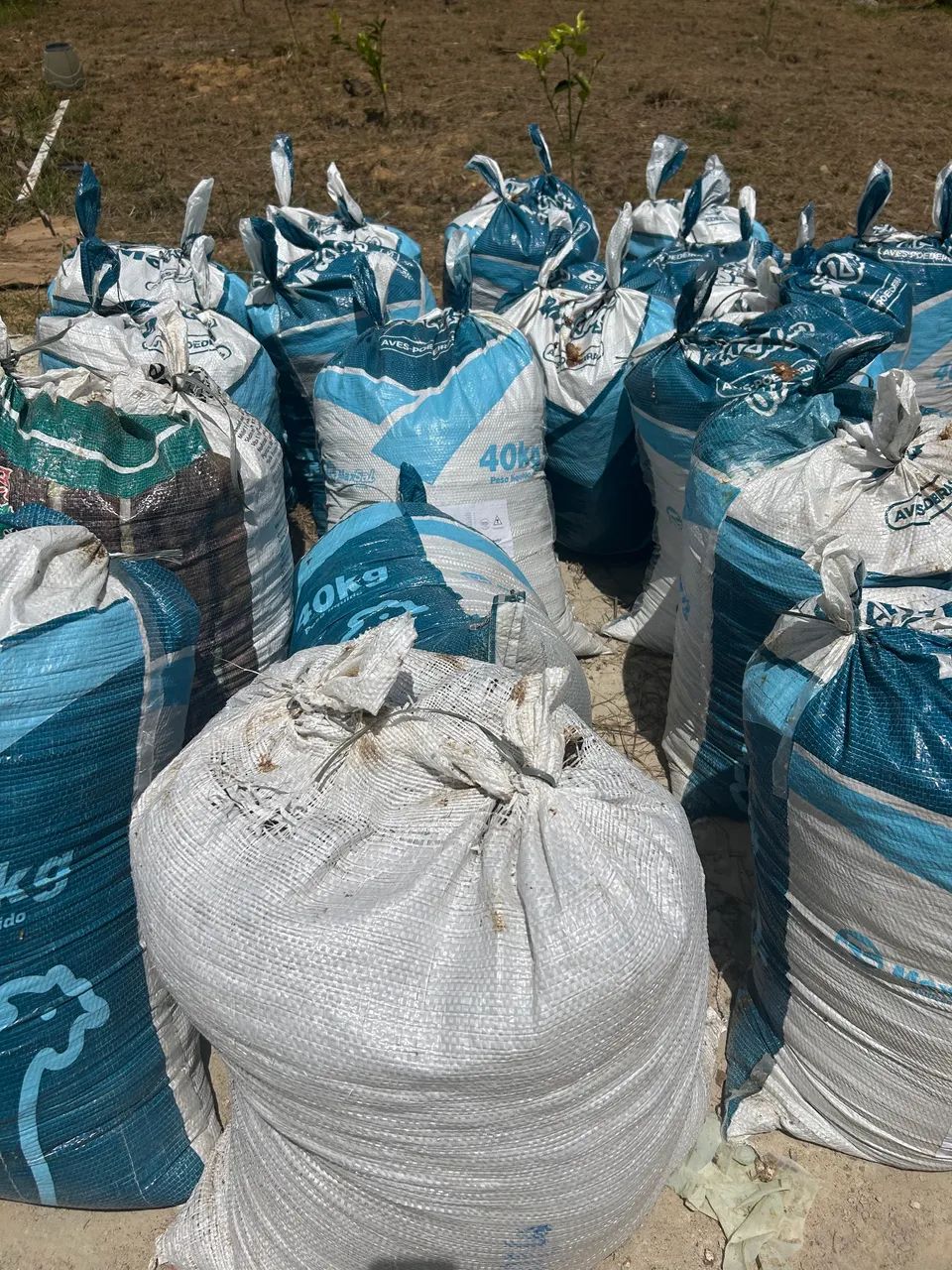 Adubo de galinha  - Foto 4