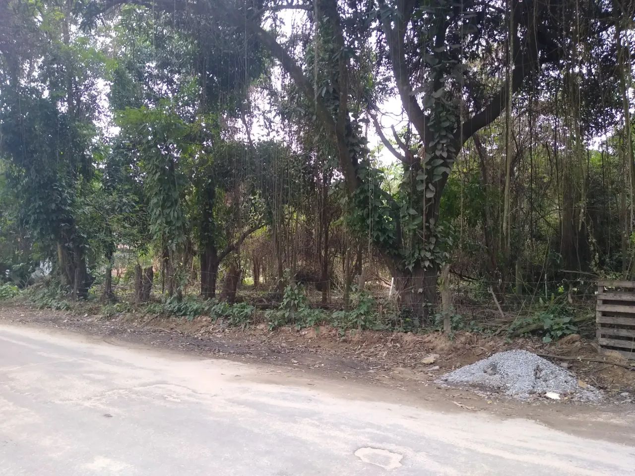 Terreno Comercial Plano com 3.000 m² no Rio da Prata - Foto 4