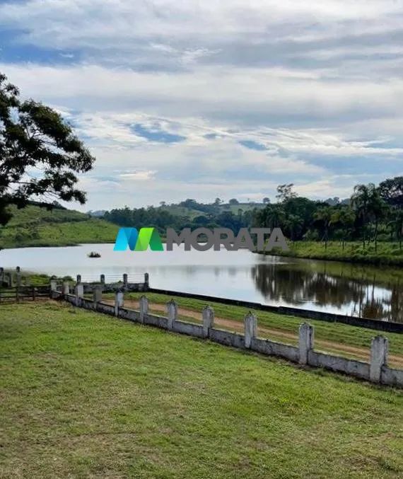 FAZENDA - 247 hectares - BOM SUCESSO (MG) - Foto 4