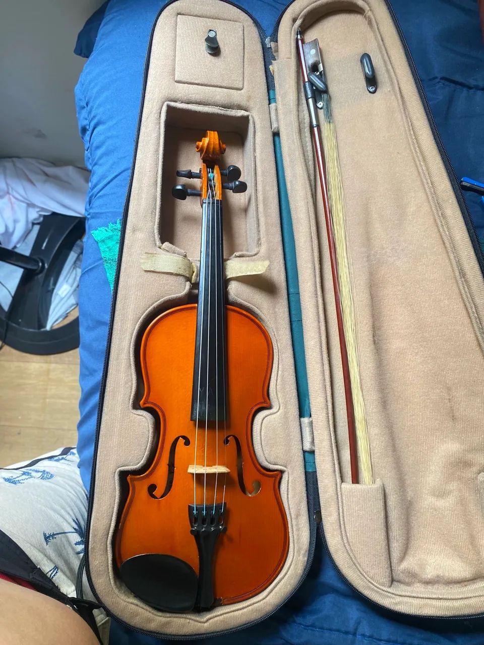 VIOLINO PARROT - Foto 2