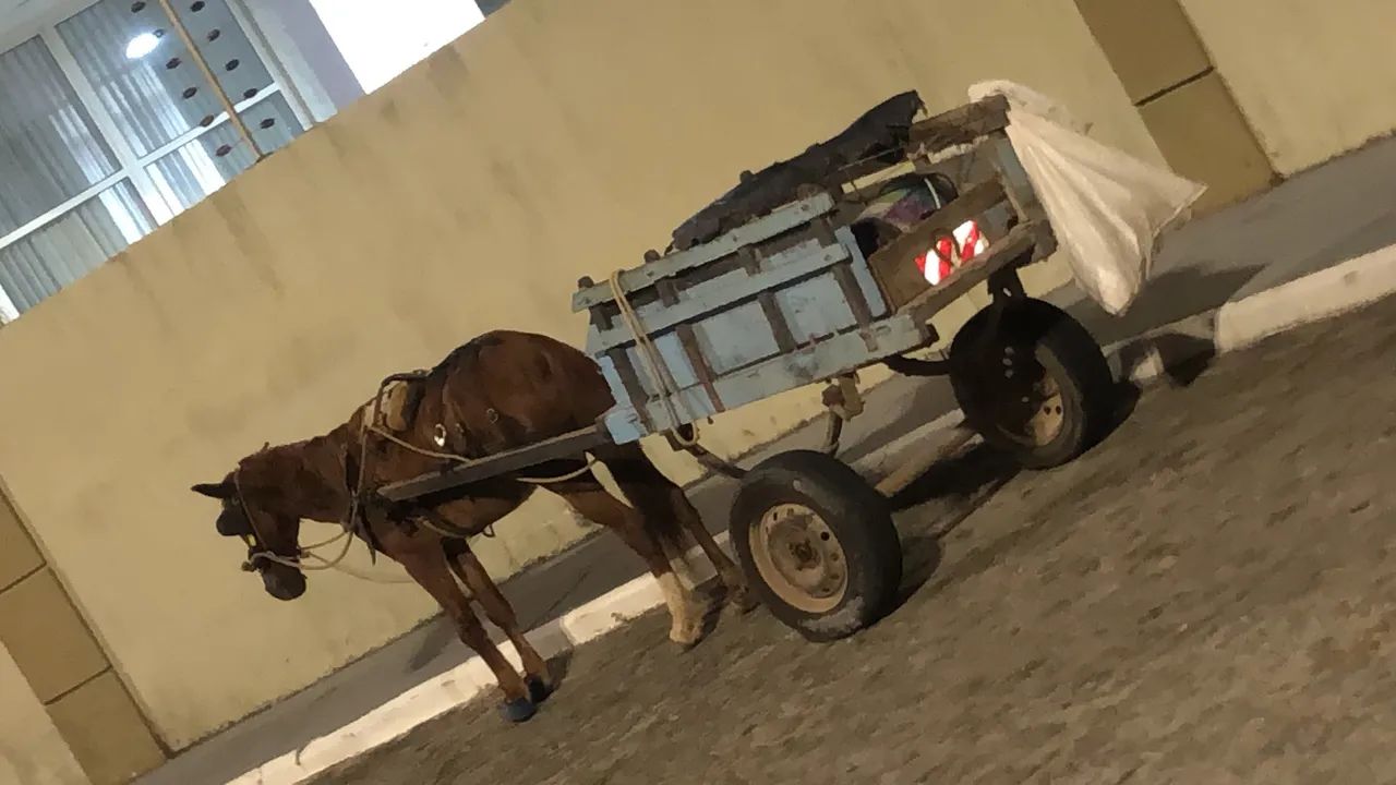 Vende se cavalo com carroça 