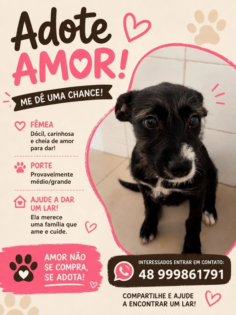 ? ADOÇÃO RESPONSÁVEL ? AMORA ?
