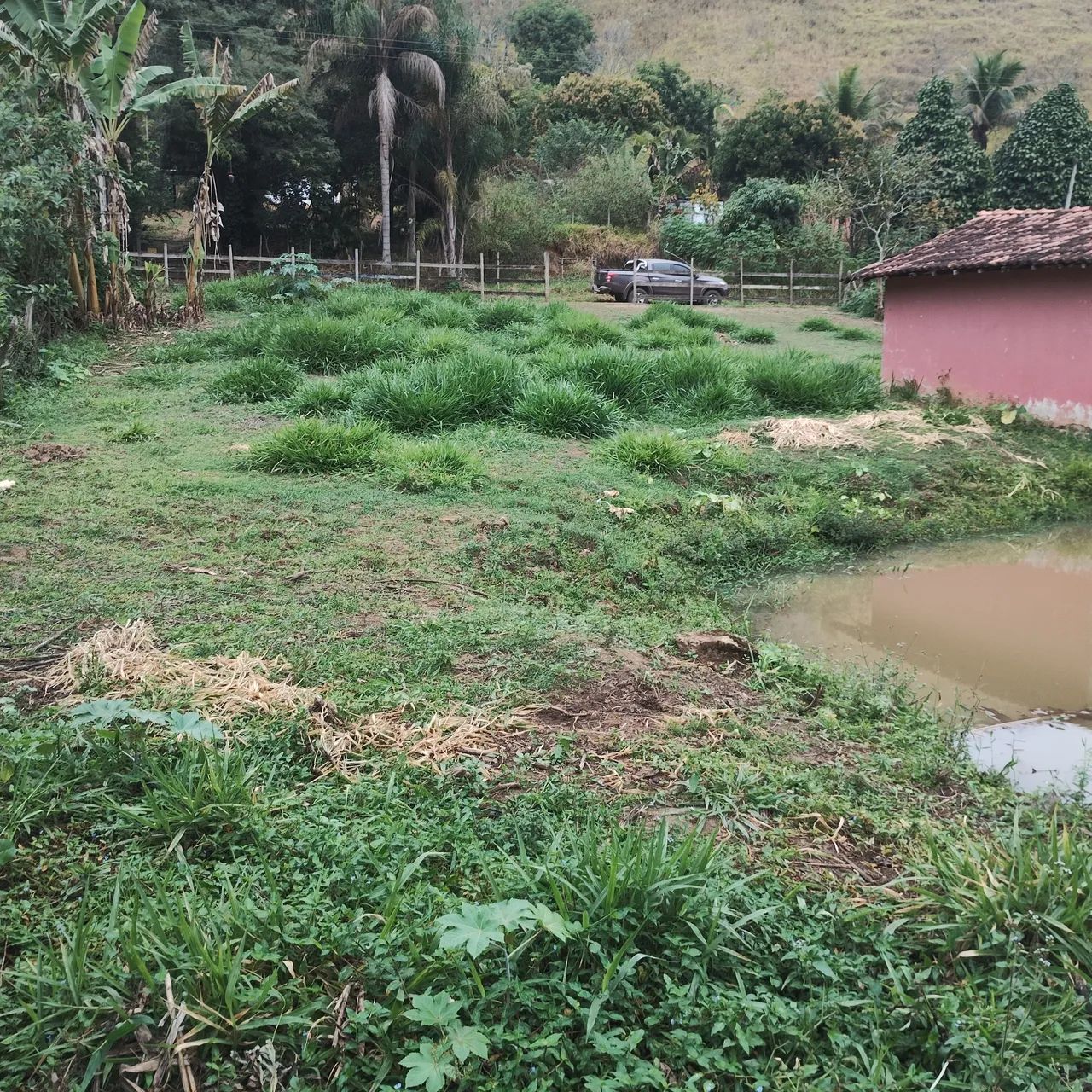 Chácara em Ipiabas - Foto 4