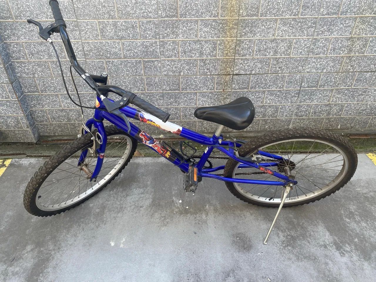 Bicicleta 
