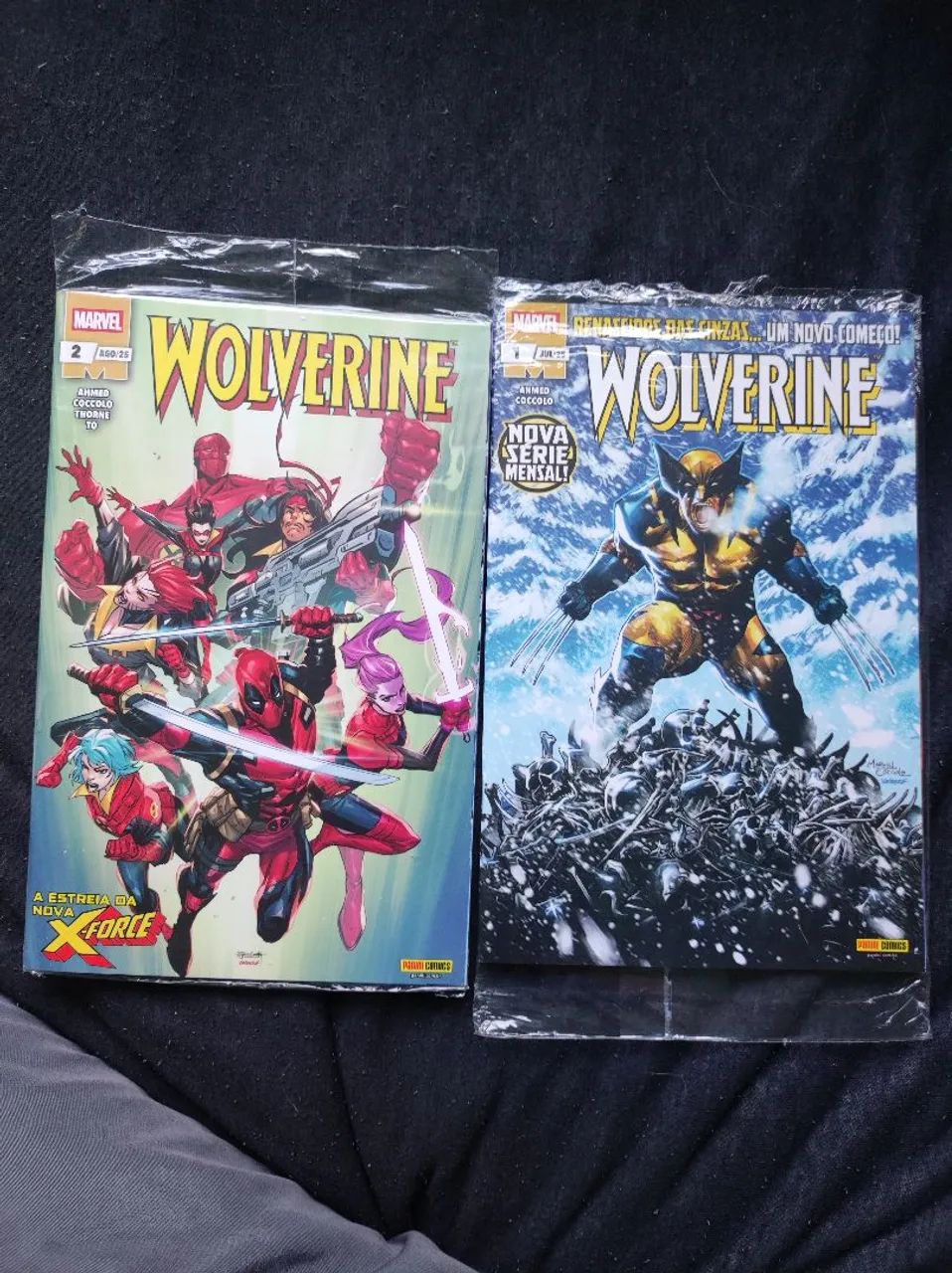 HQs Wolverine 2025 1 ao 2