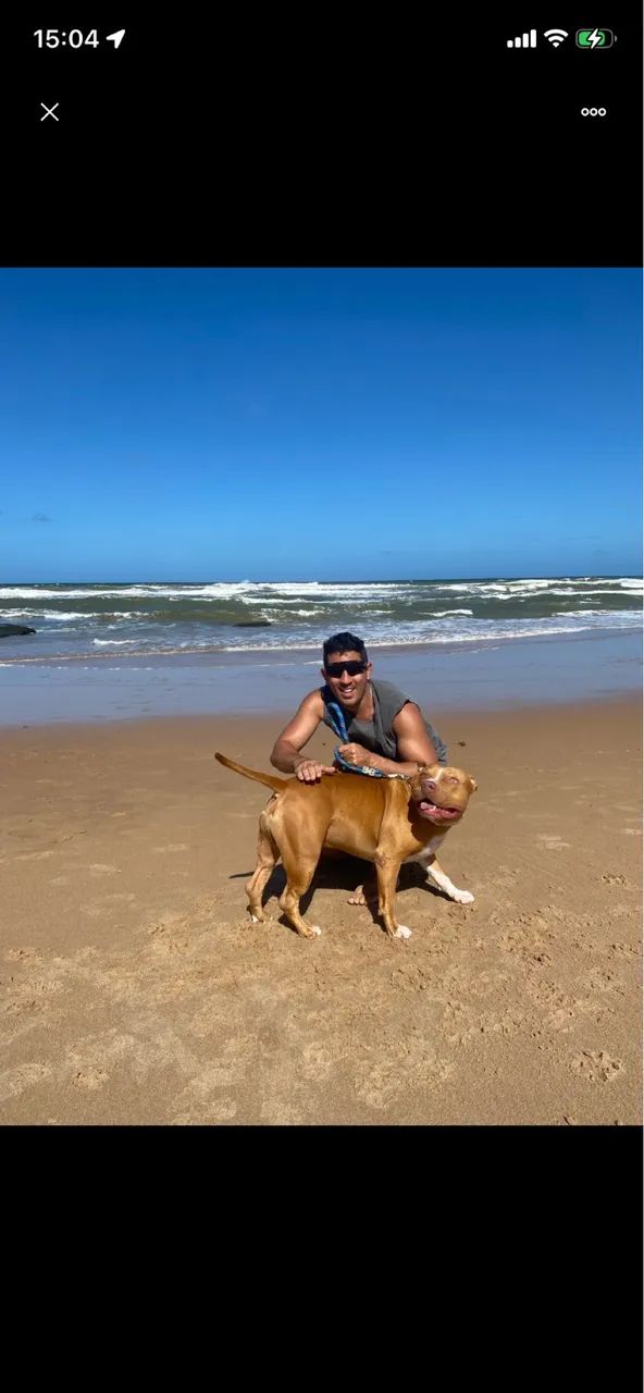 Passeio com seu cachorro (Stella Maris) - Foto 2