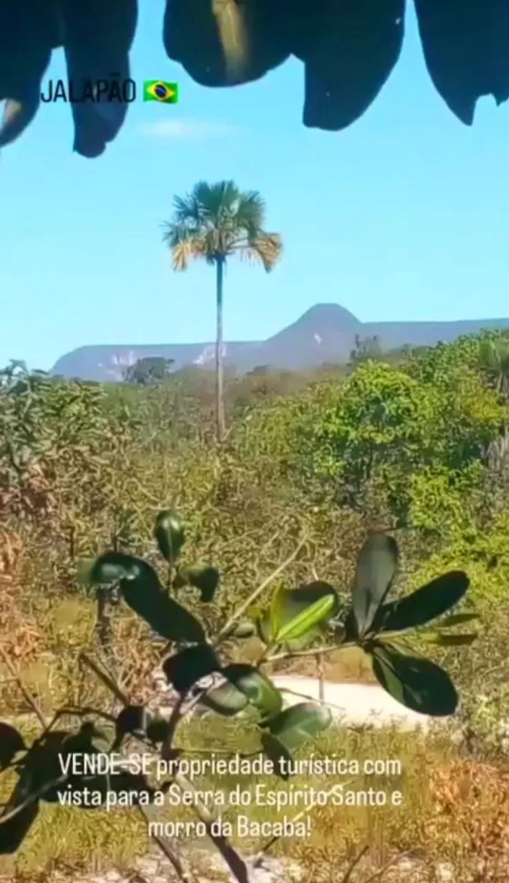 Vende-se um pedaço do paraíso no JALAPÃO! - Foto 5