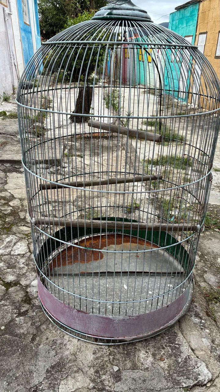 Gaiola em bom estado - Foto 3