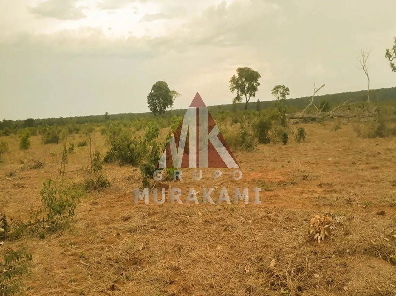FAZENDA - CAMPO GRANDE - MS