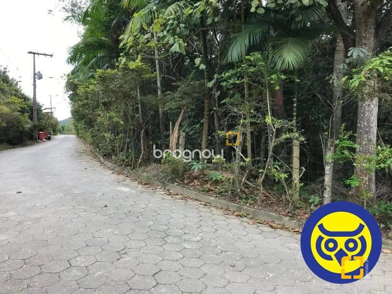Lote/Terreno plano com 50.000m² - bairro Vargem Grande - Florianópolis SC - Foto 2