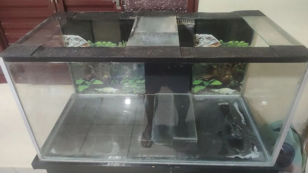 AQUÁRIO GRANDE COMPLETO COM ACESSÓRIOS  - Foto 4