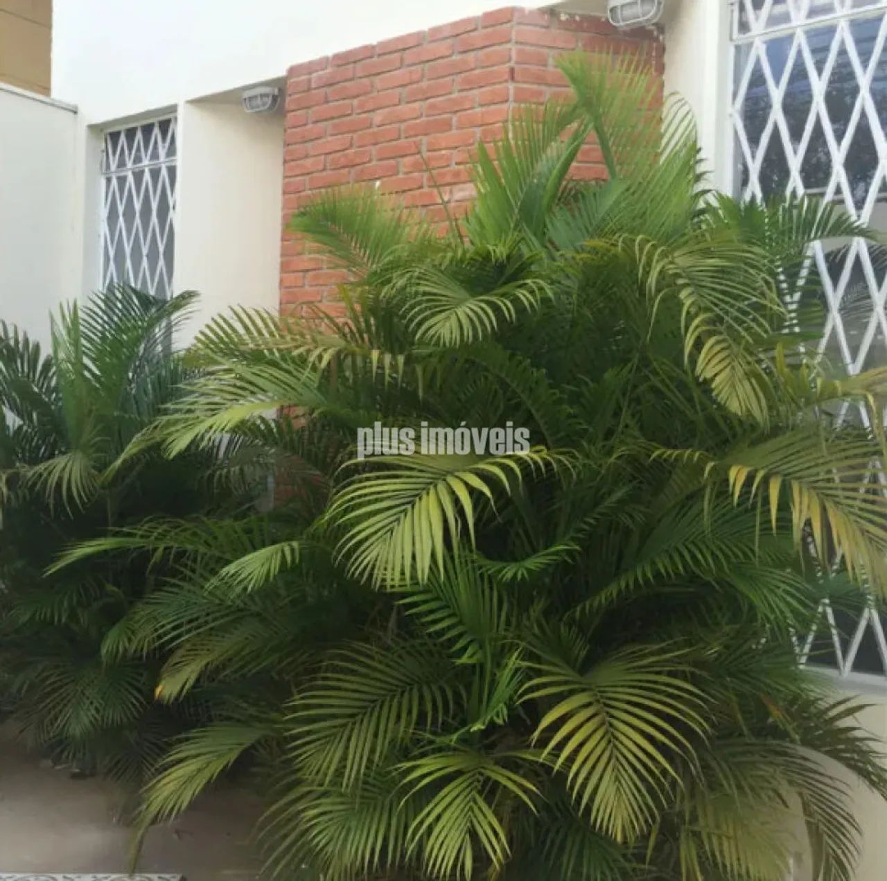 Casa em Aclimação com 234m² - Foto 5