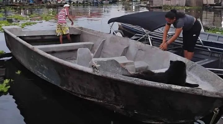 Casco de lancha 