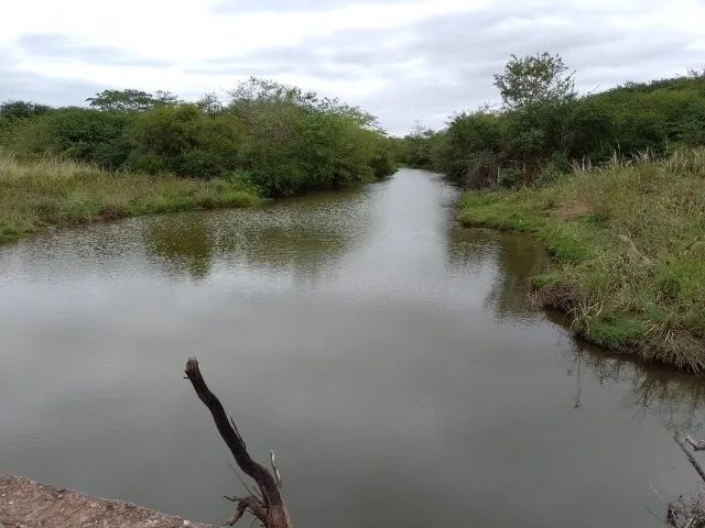 FAZENDA PRÓXIMO À ITAQUARA - 4200 HECTARES - Foto 3