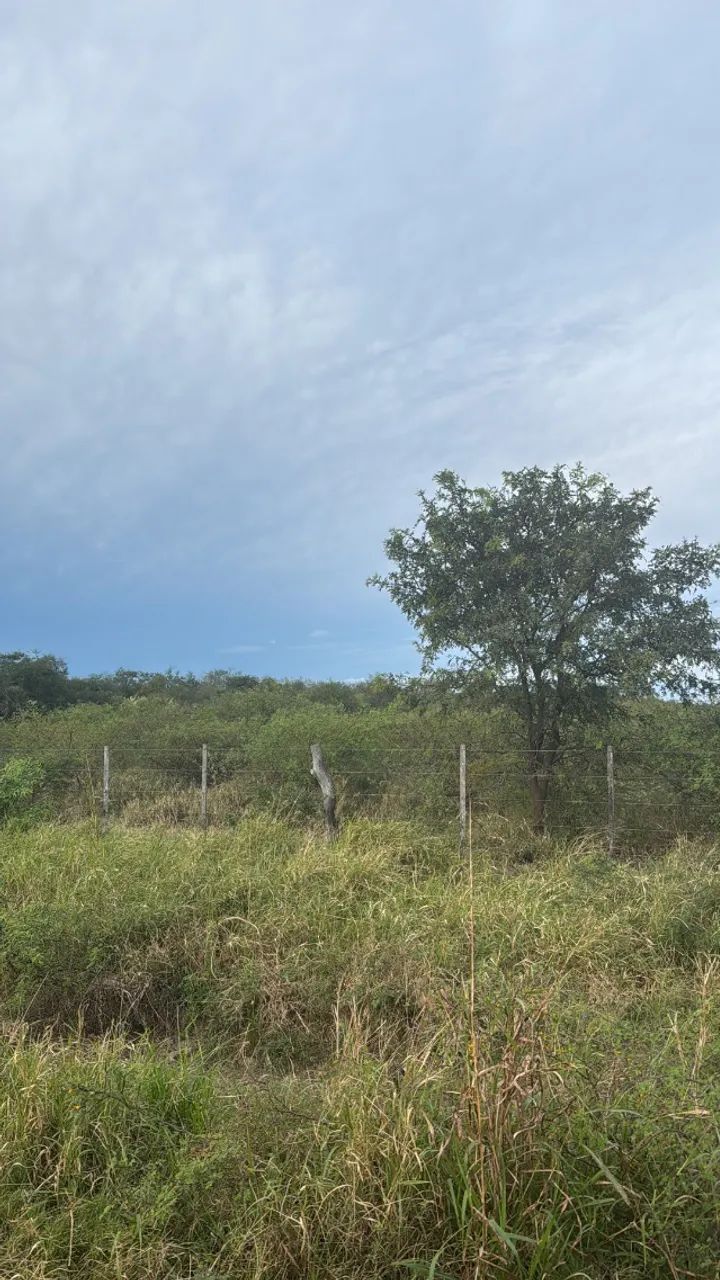 Vendo 2 Lojas em Ponta Porã 