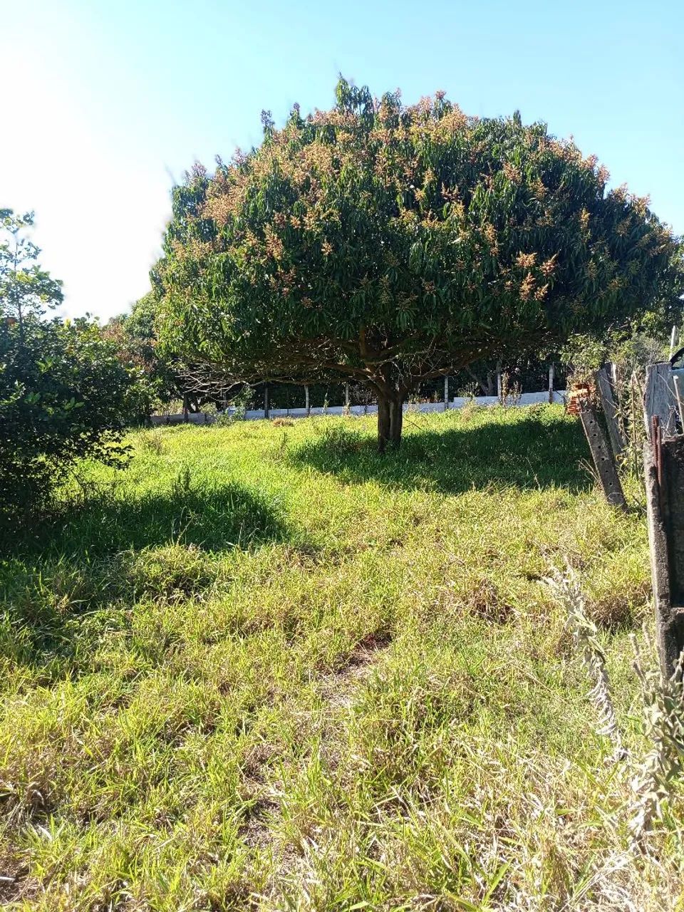 Chácara lugar lindo  - Foto 3