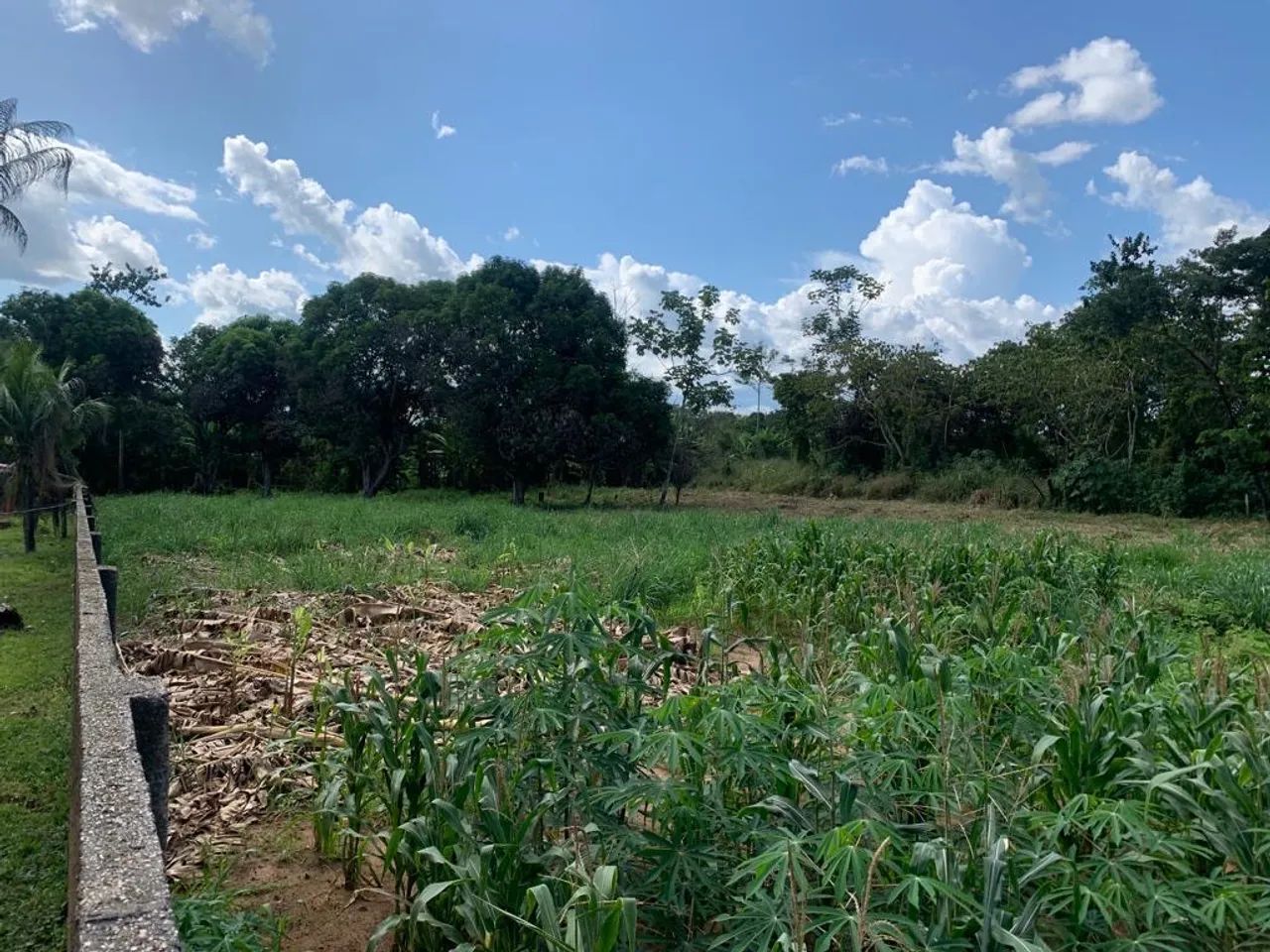 LINDA CHÁCARA A VENDA - Foto 2
