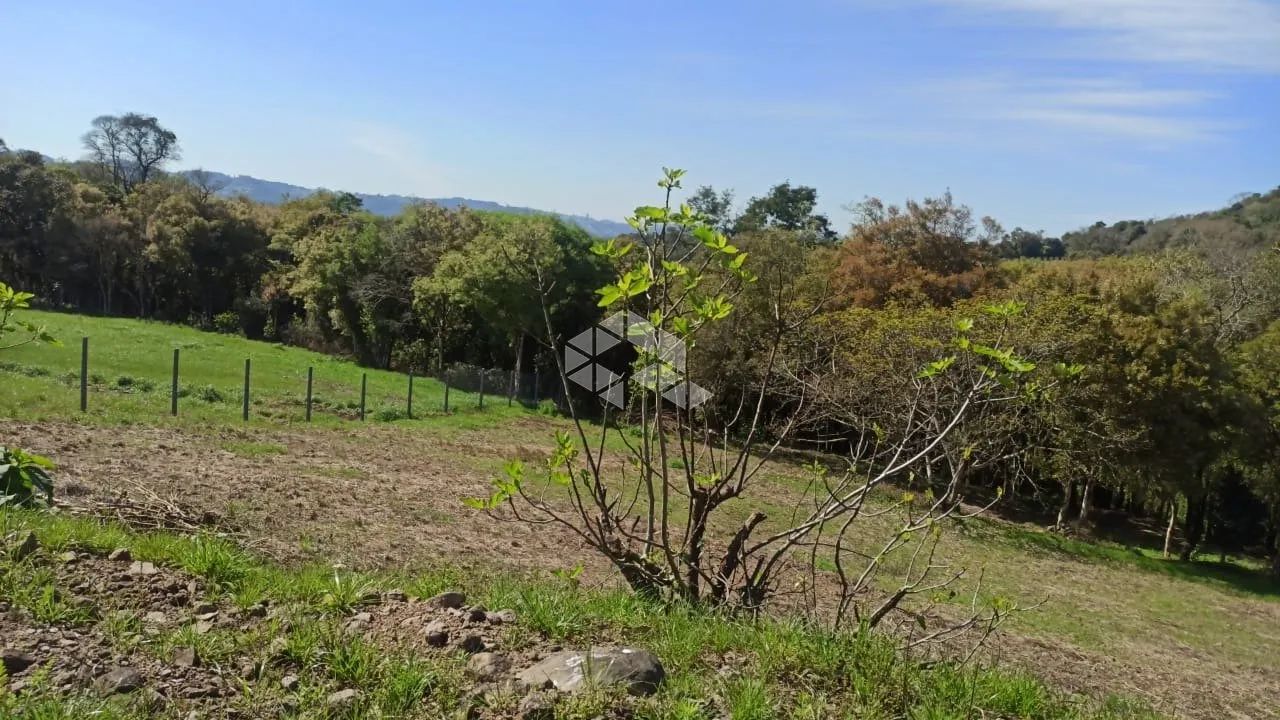 Terreno no vale dos vinhedos com 3.970m² - Foto 4