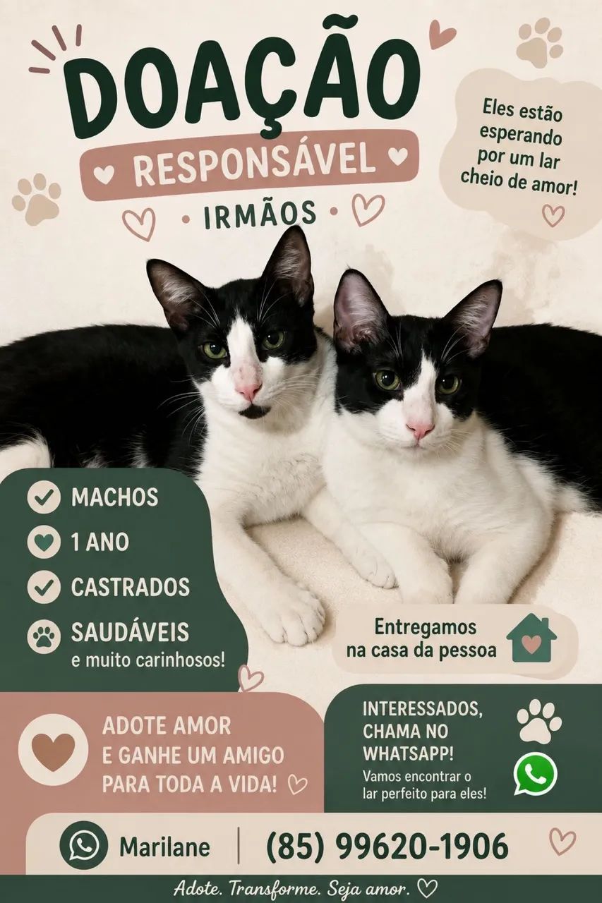 Mim leva pra sua casa  - Foto 5