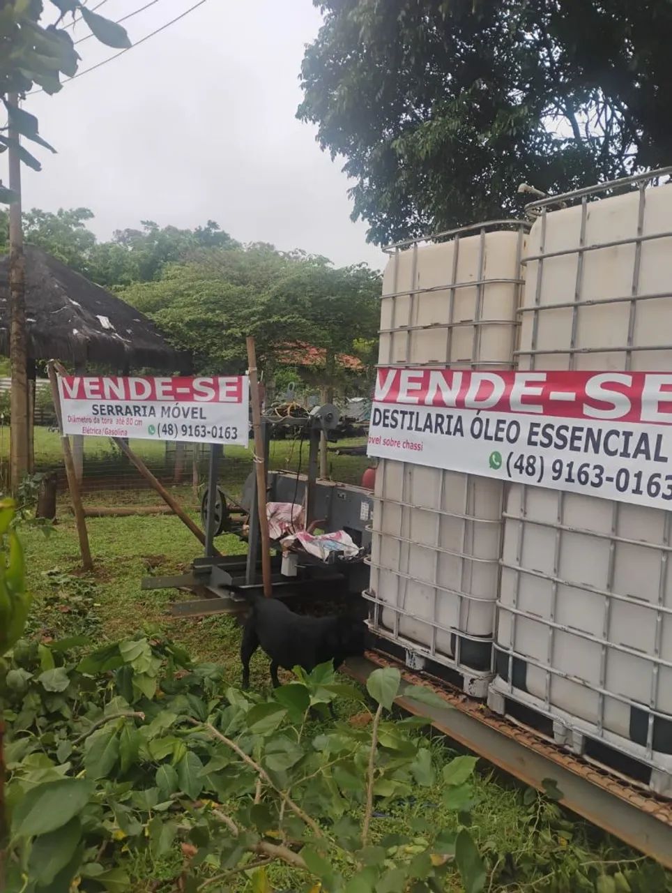 Destilaria óleo essencial movel - Foto 2