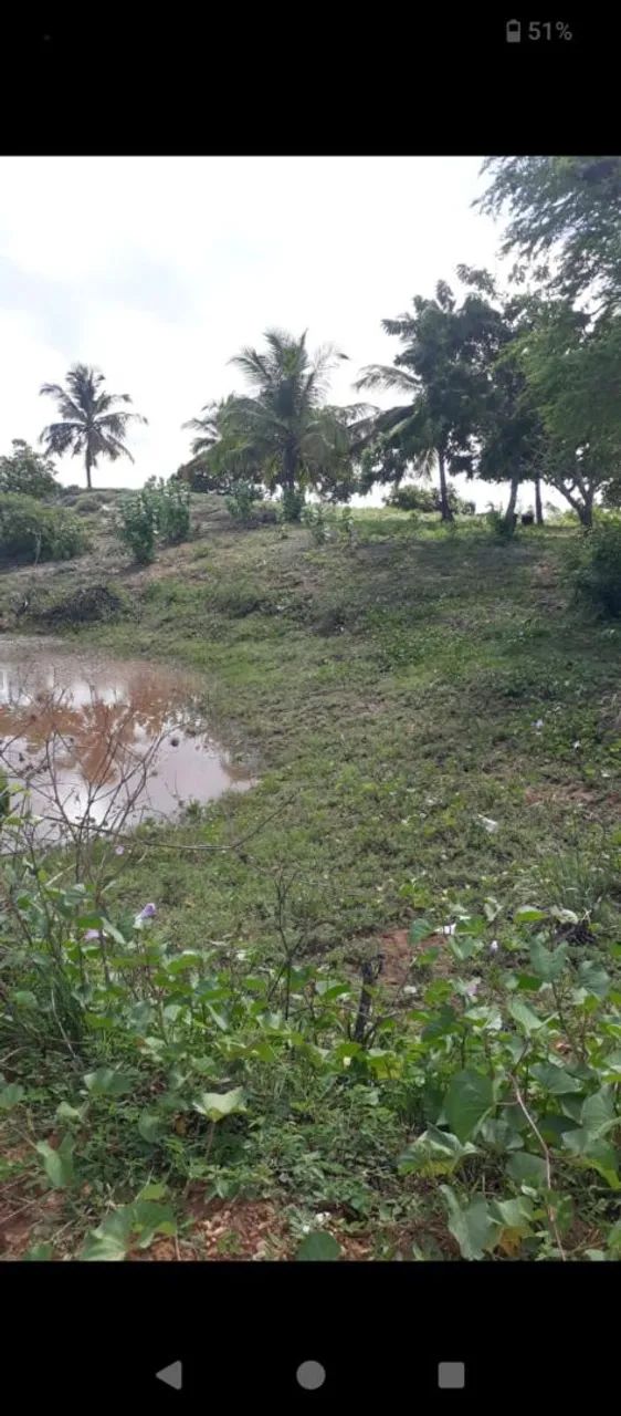 Vendo terreno no povoado ponta do magues/ Pacatuba  - Foto 2