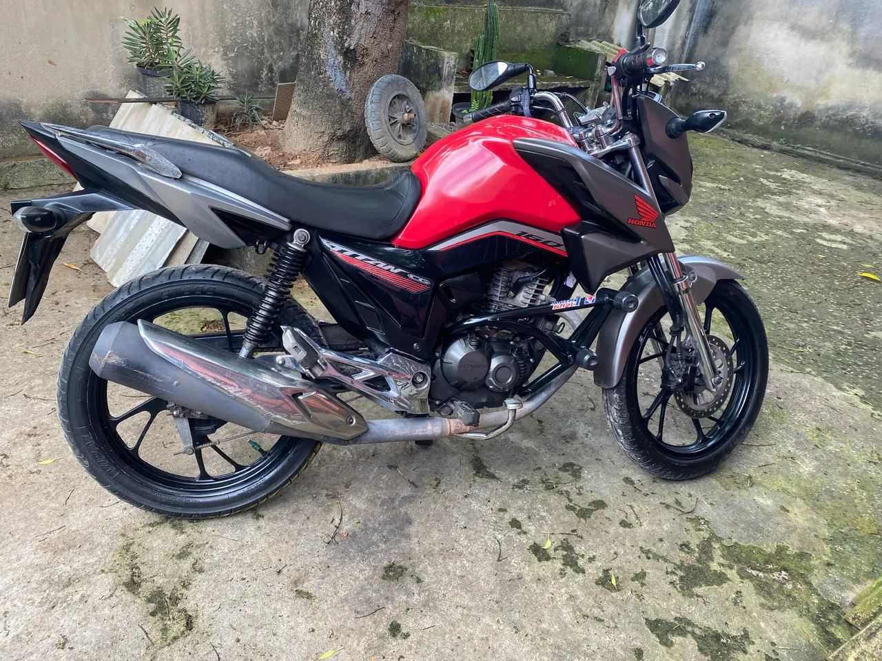 Titan 2020 - Foto 3