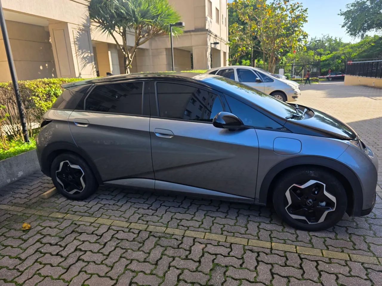 BYD Dolphin EV (Elétrico) 2024 - Foto 3