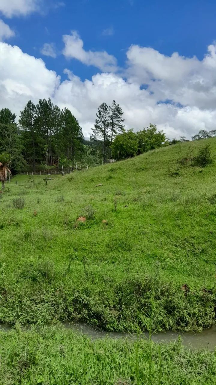 CHACARA 2 HECTARES A VENDA EM ANITAPOLIS  - Foto 4
