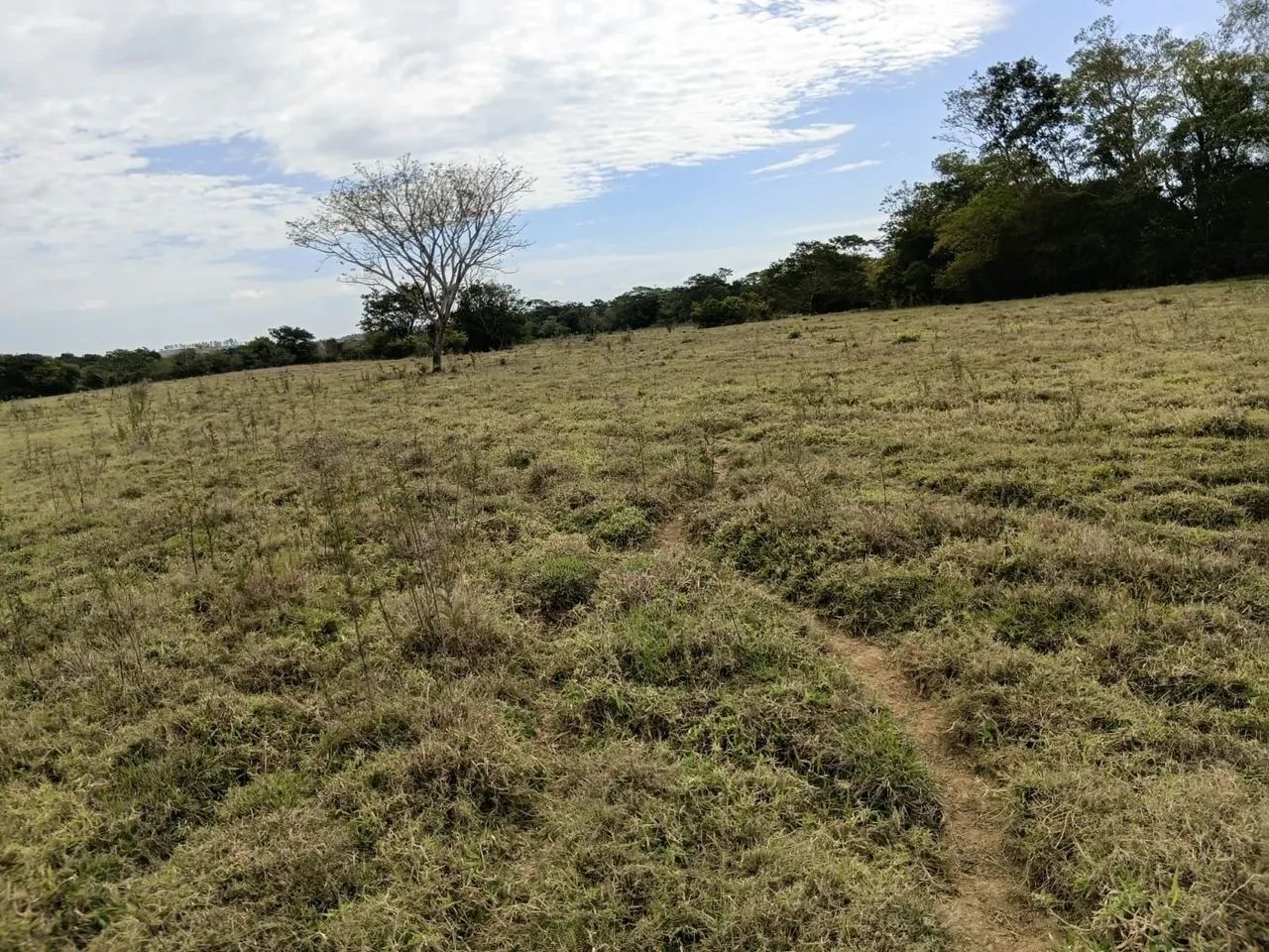 FAZENDA 53 ha EM IGUATAMA