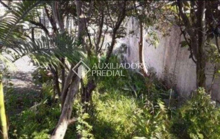 TERRENO PLANO COM 250 M² - PARQUE DOS PÁSSAROS - SÃO BERNARDO DO CAMPO - Foto 5