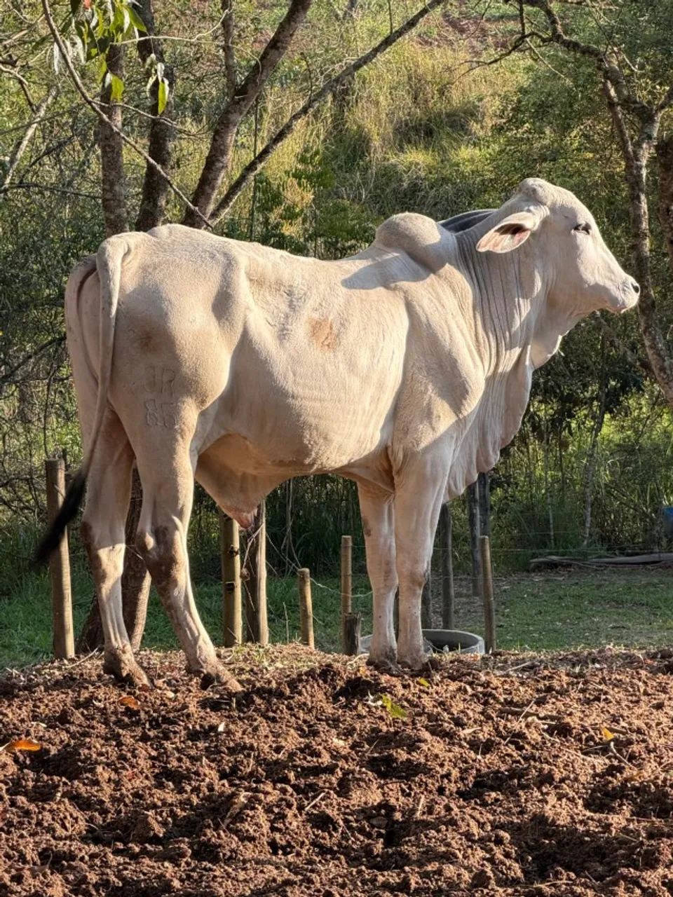 TOURINHO - Foto 2