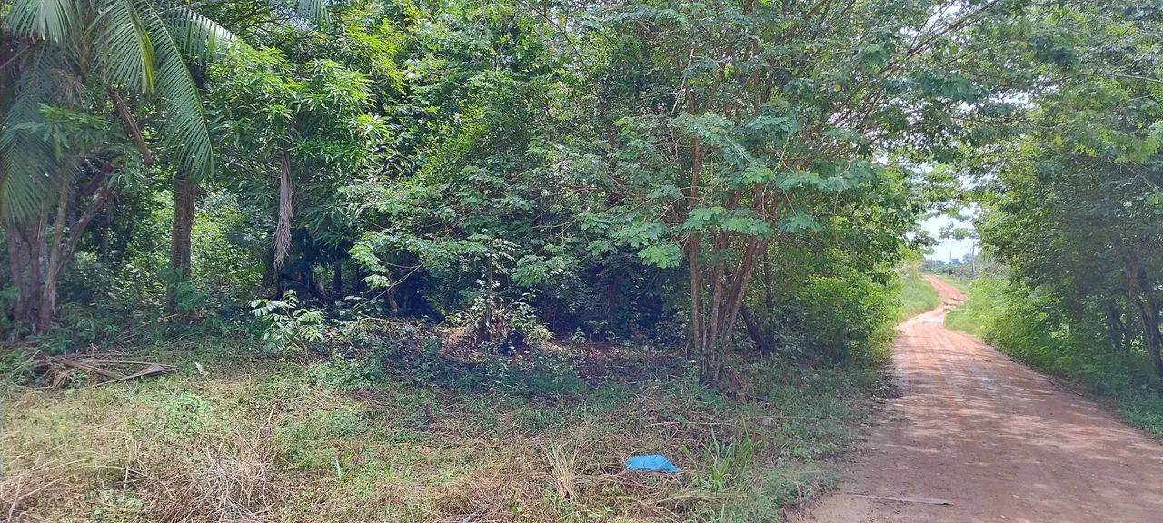 Terreno próx presidente Figueiredo  - Foto 3