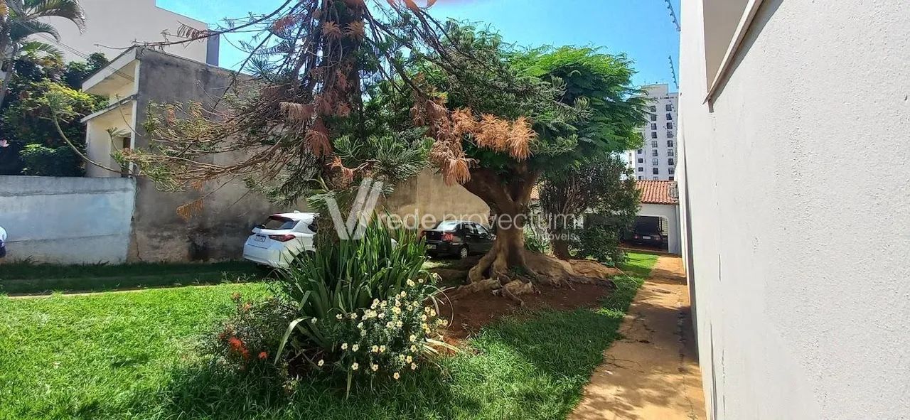 casa - Vila Nova - Campinas - Foto 3