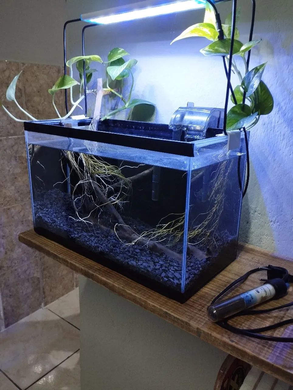 Aquário 20 litros completo 
