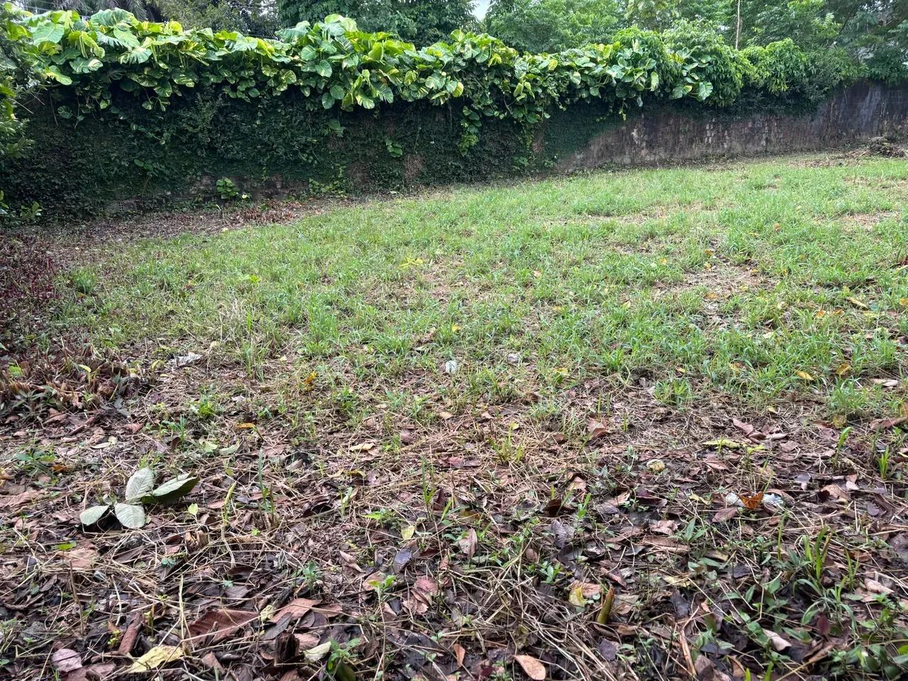 LOTE A 500M DO CENTRO COMERCIAL DE ALDEIA!! - Foto 5